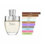 Rare Carbon Afnan Eau de Parfum 100ML - Imagen 4