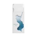 Ravine Ice French Avenue Eau de Parfum 100ML